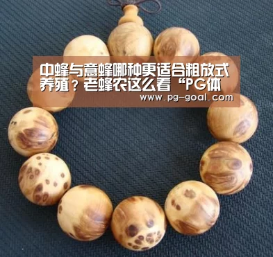 中蜂与意蜂哪种更适合粗放式养殖?老蜂农这么看“PG体育”(图1) PG篮球