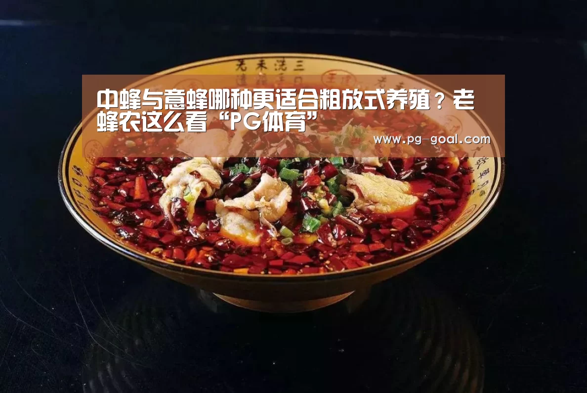 中蜂与意蜂哪种更适合粗放式养殖?老蜂农这么看“PG体育”(图2) PG篮球