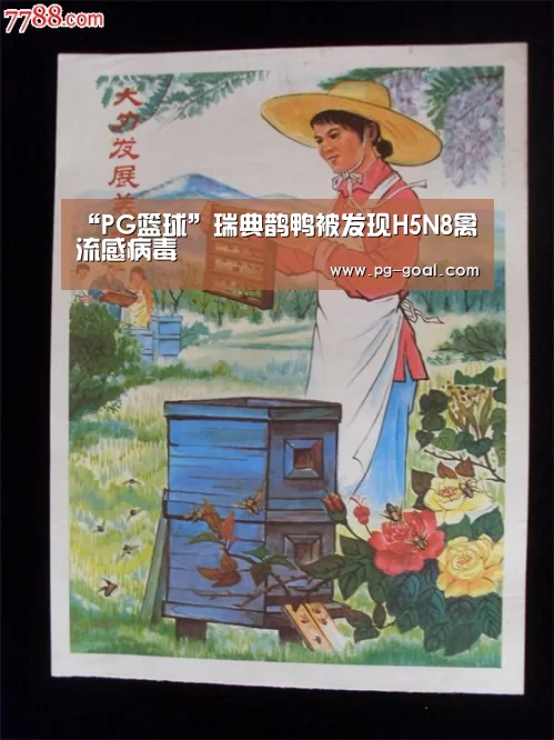 PG竞猜