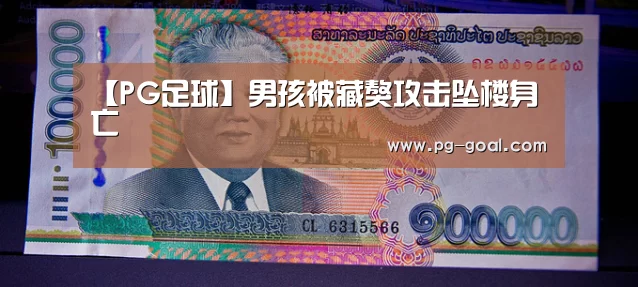 【PG足球】男孩被藏獒攻击坠楼身亡(图1) PG体育