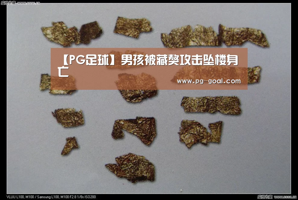 【PG足球】男孩被藏獒攻击坠楼身亡(图2) PG体育